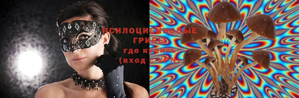 не бодяженный Абаза