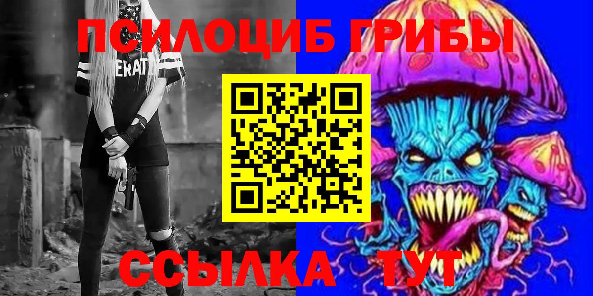 Псилоцибиновые грибы мицелий Ярославль