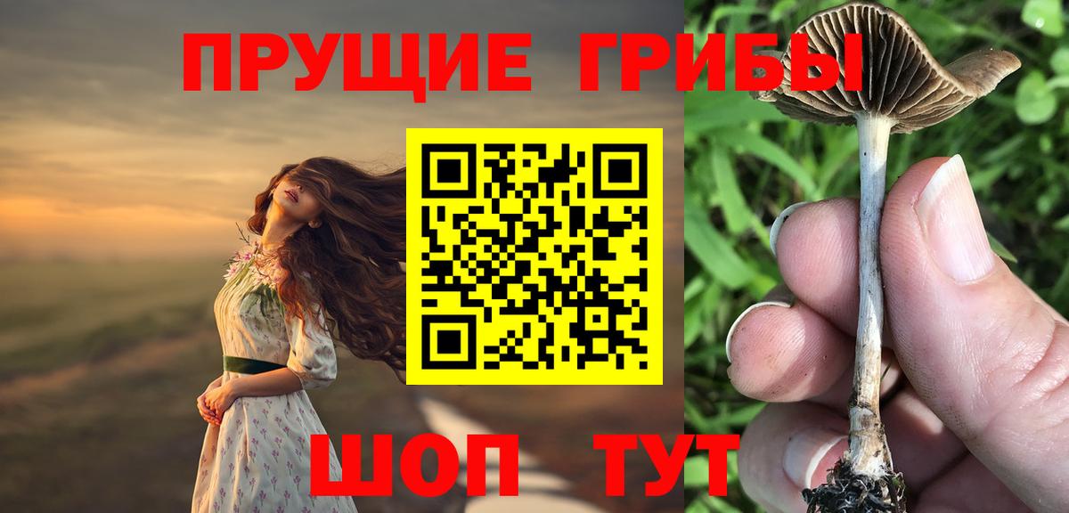 Псилоцибиновые грибы GOLDEN TEACHER  как найти наркотики  Ярославль  Вход с VPN 